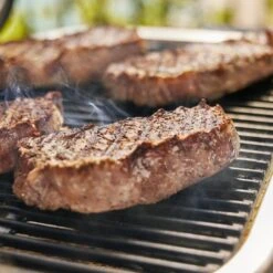 Lumin-elektrische Barbecue 21 Lumin-elektrische Barbecue -BBQ Accessoires Verkoop 92010901FB3 1800x1800